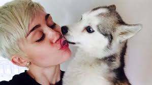 Miley Cyrus con Floyd